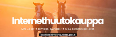 Internethuutokauppa uudistuu marraskuussa