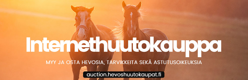 Kesäkuun internethuutokauppa 31.5.-4.6.2019