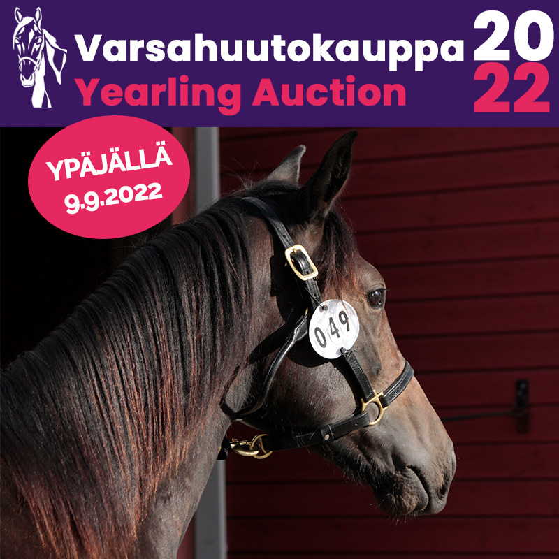 Ruokailu huutokauppa-alueella