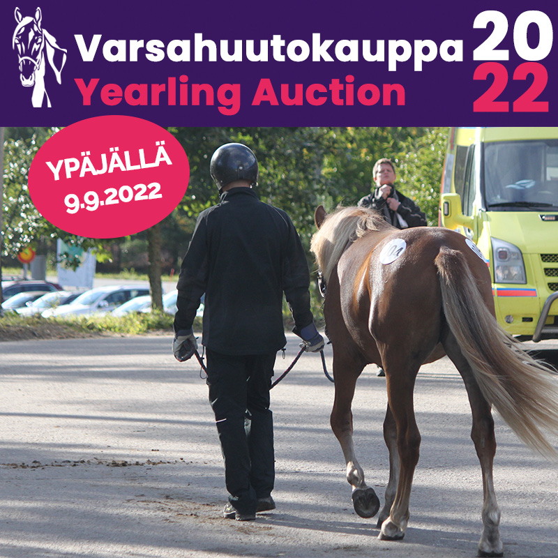 Ilmoituspaikat huutokauppaluettelossa 2022