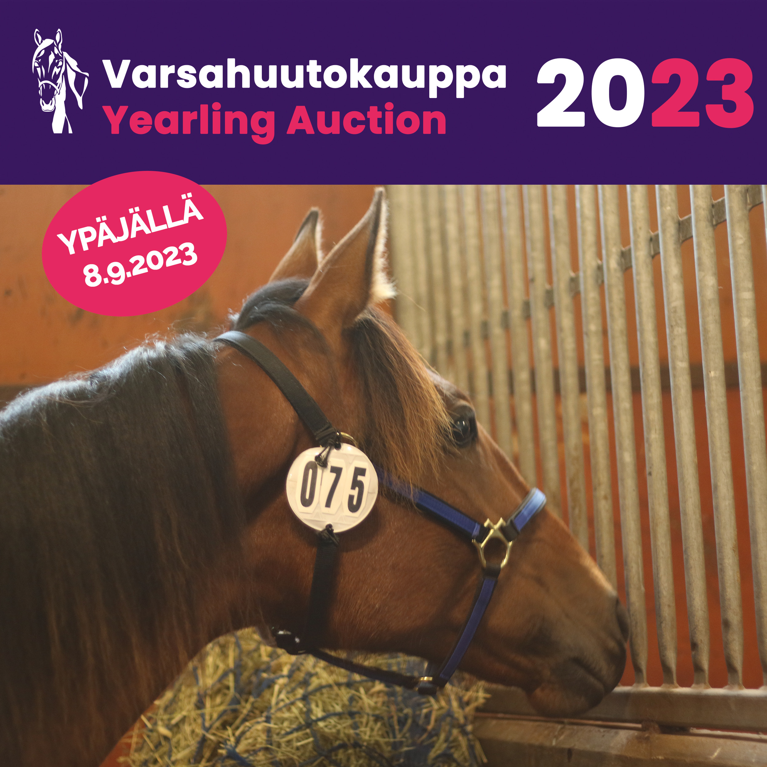 Varsahuutokaupan tarjous ihmisten majoitukseen Hevosopistolla