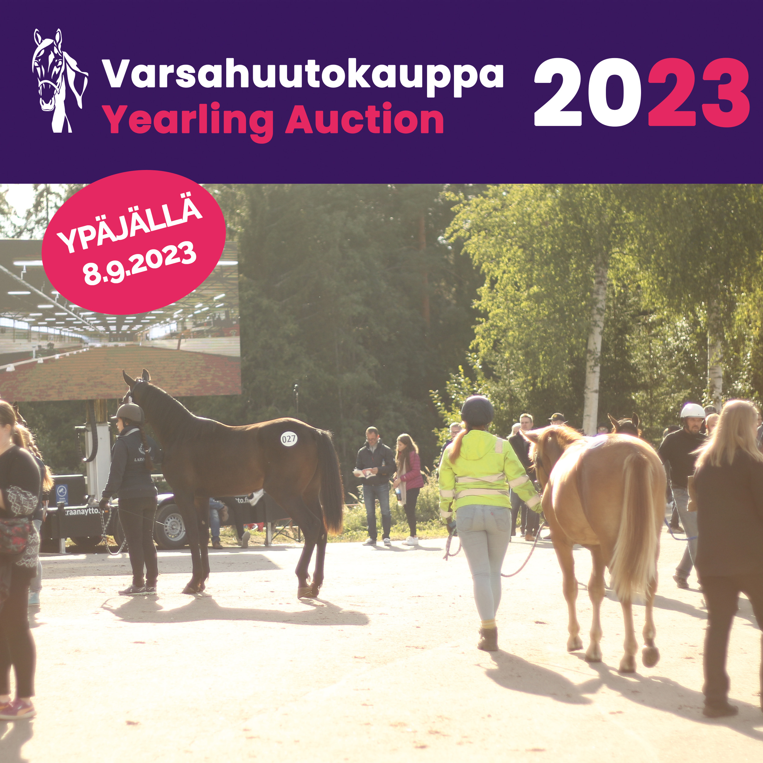 Seuraa Varsahuutokauppaa Veikkaus-TV:ssä