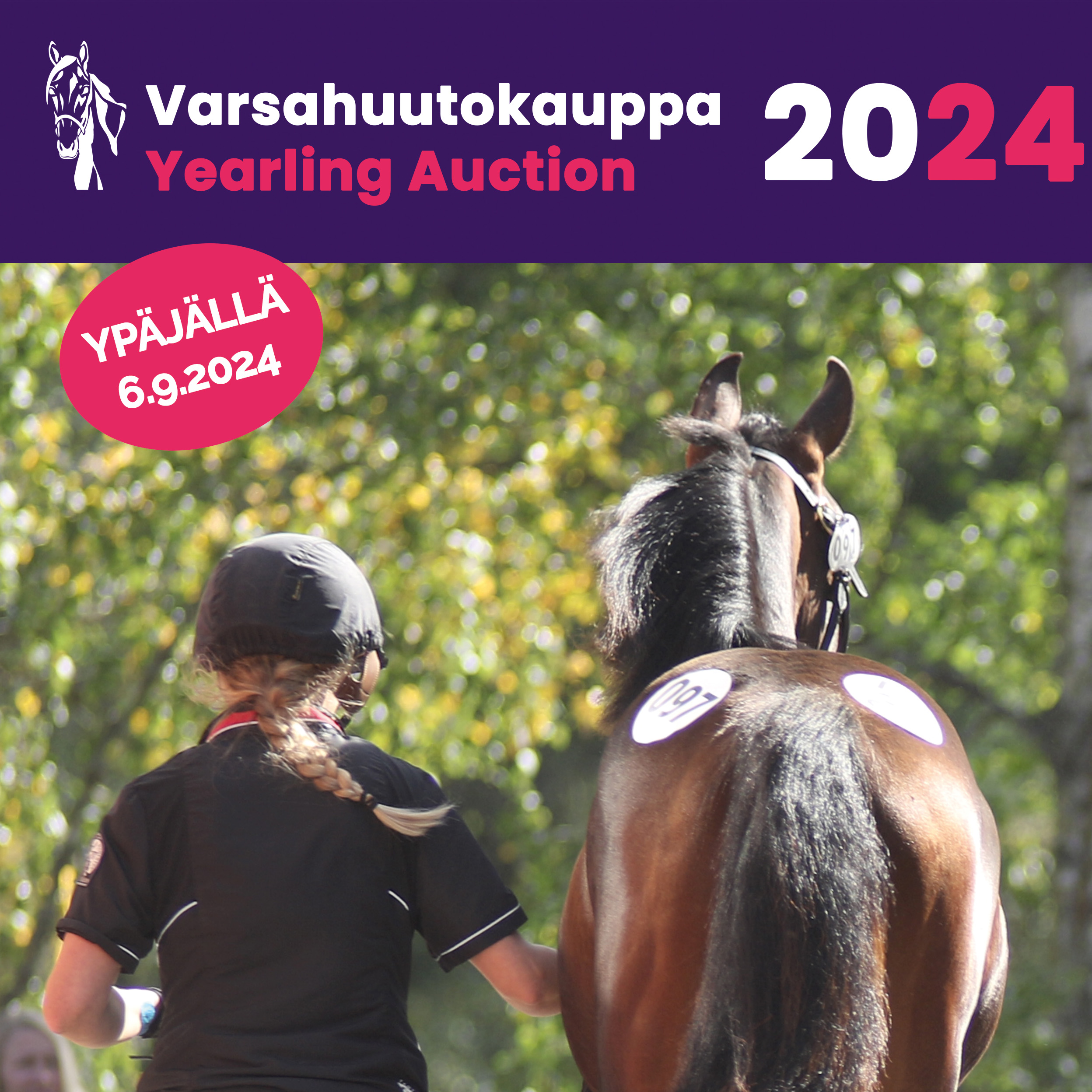 Ammattilaisen vinkit onnistuneeseen varsan myyntivideoon