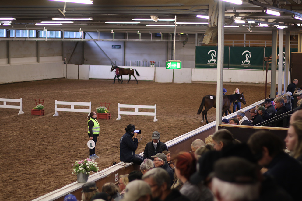 Auction live stream for foreign viewers