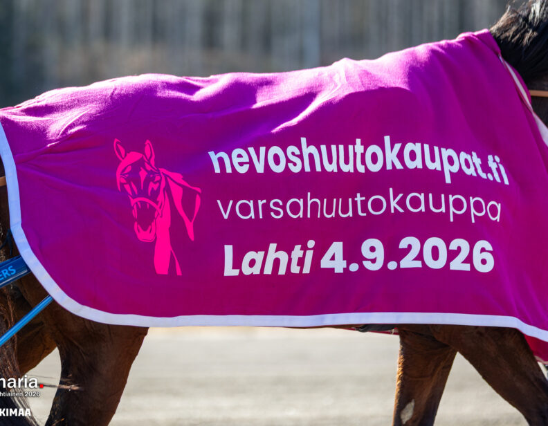 Huutokauppaan on tuloillaan merkittäviä uudistuksia – ideoitakin toivotaan