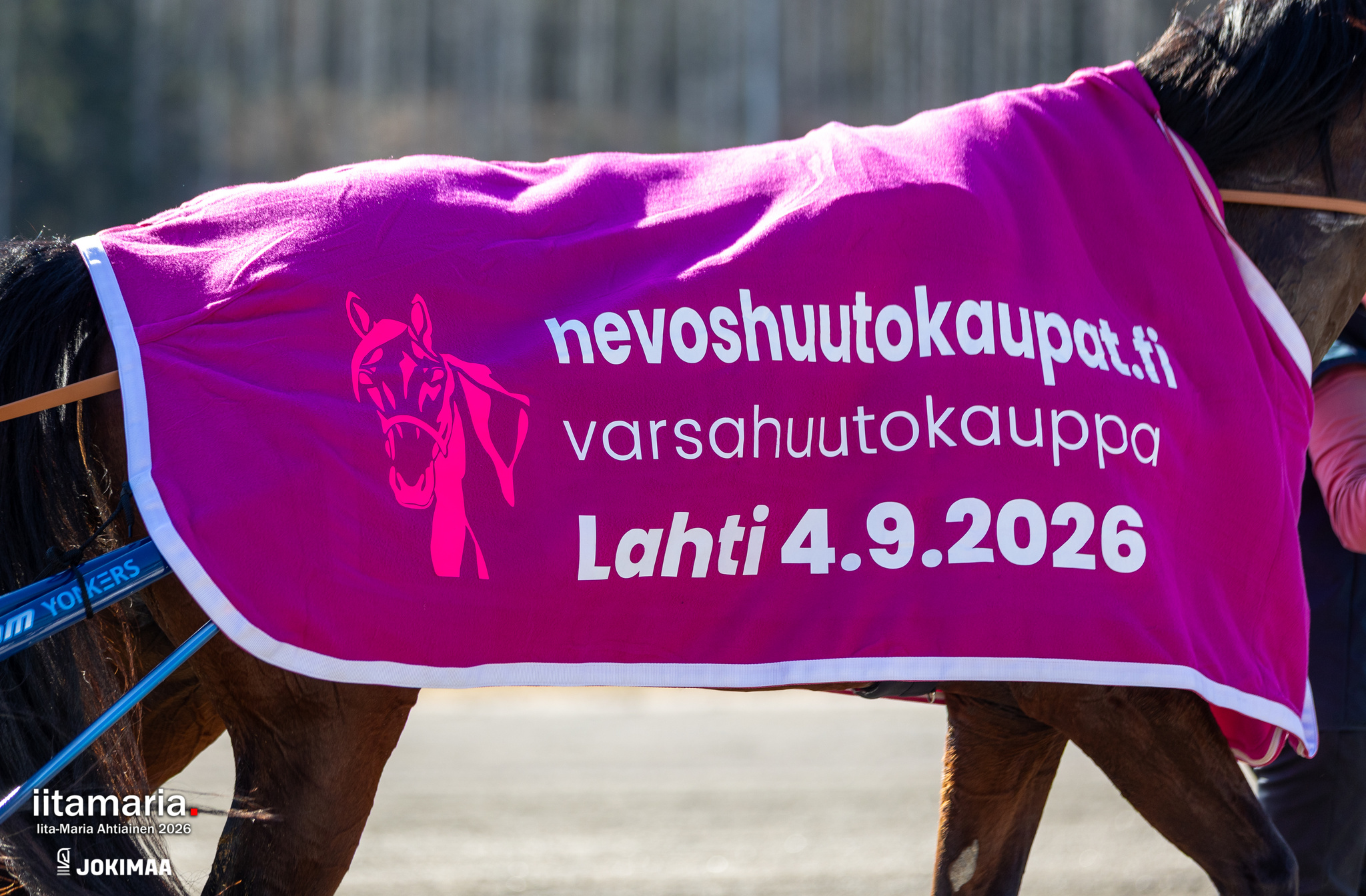 Huutokauppaan on tuloillaan merkittäviä uudistuksia – ideoitakin toivotaan