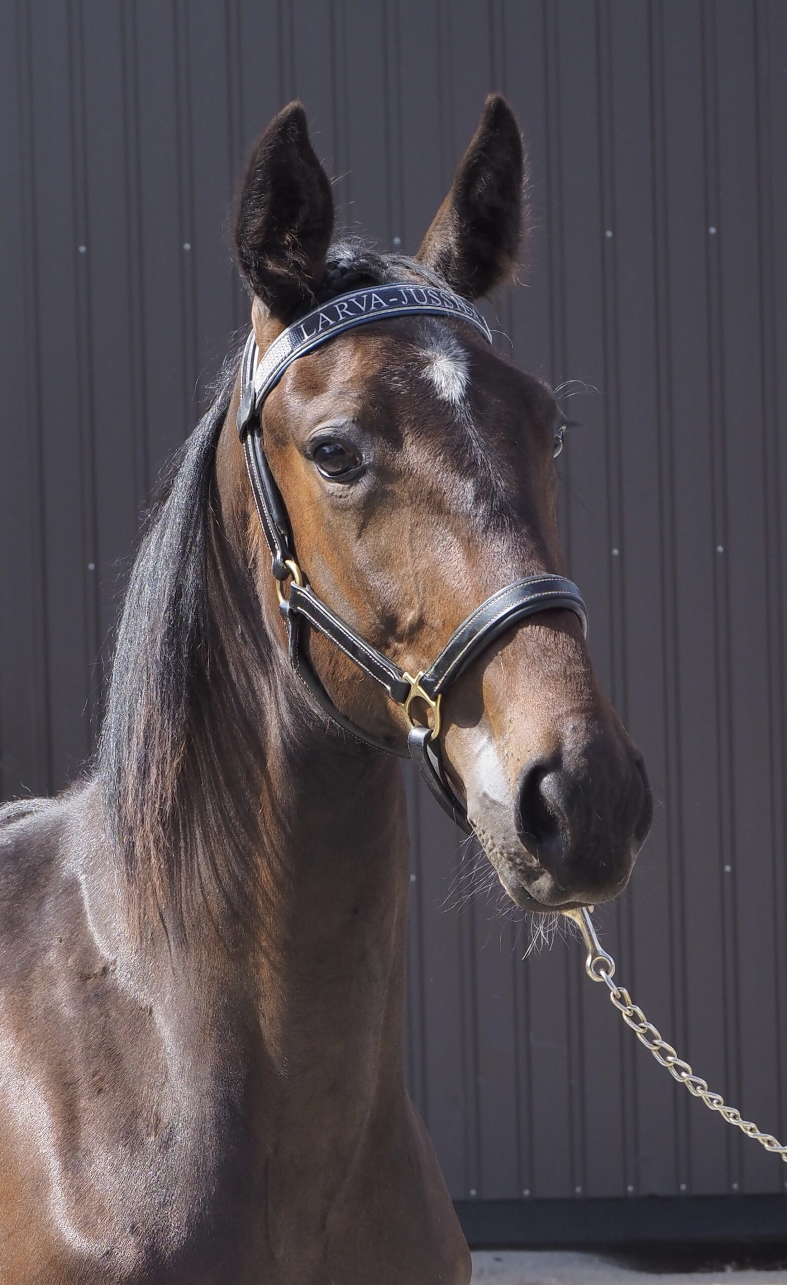 He Is Alex